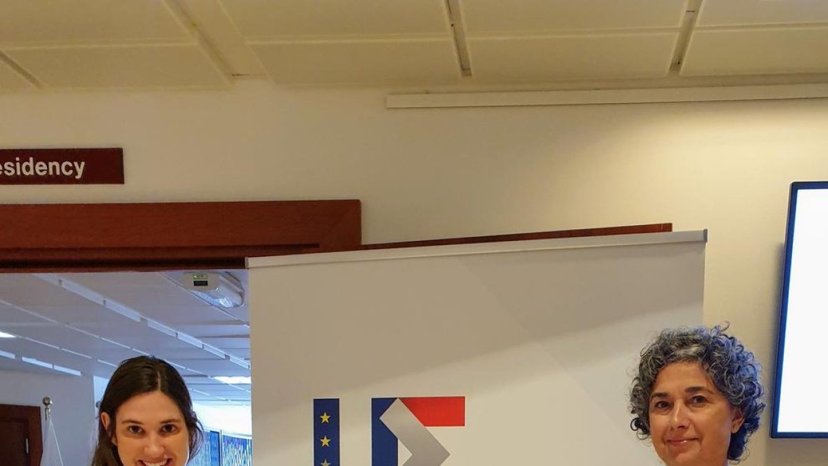 Rabasa s'ha reunit avui amb el grup EFTA a Brussel·les