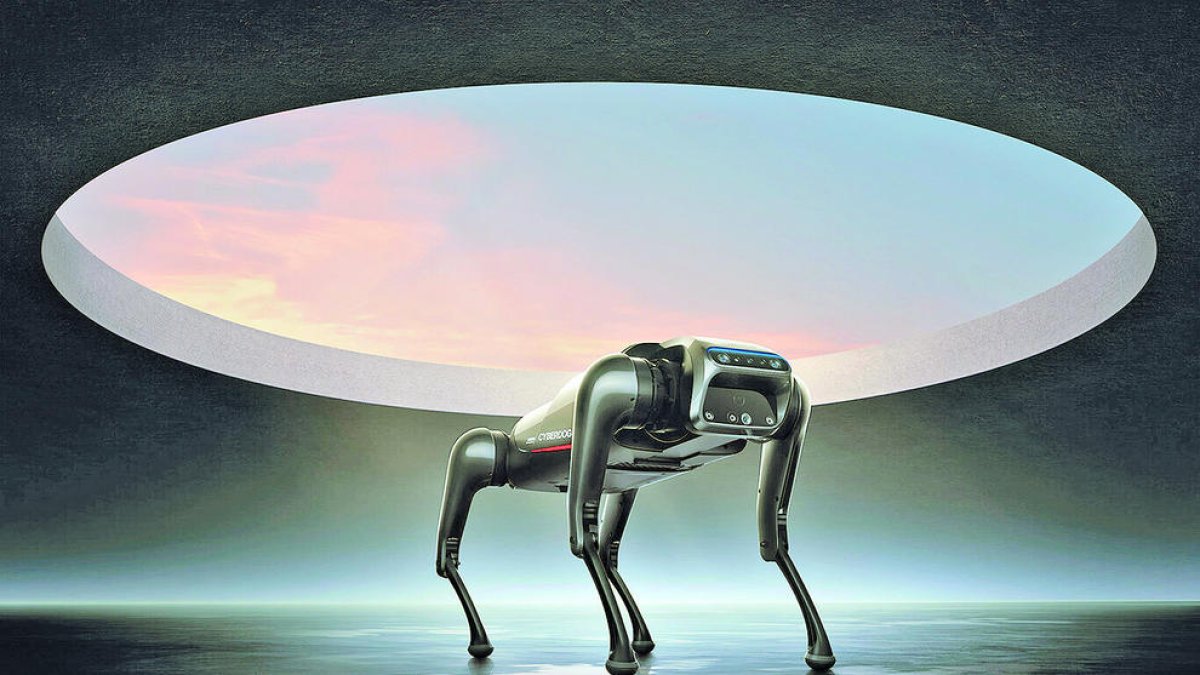 El seu ús no és tan recreatiu com professional