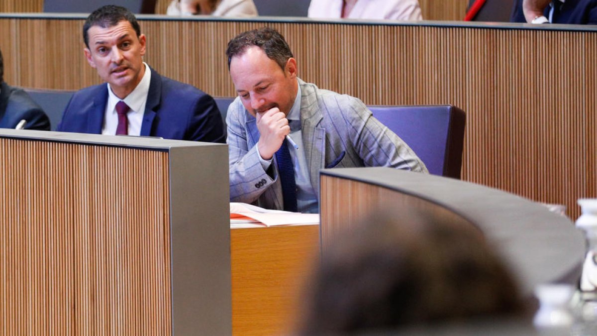 Gallardo i Espot en la sessió d'avui al Consell General