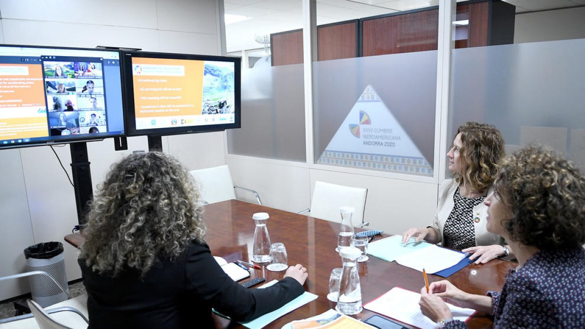 Ubach i Calvó participant telemàticament a l'esdeveniment