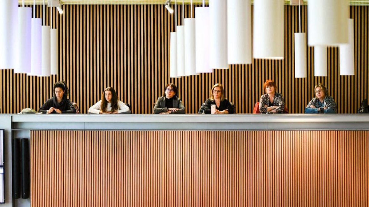 Membres dels col·lectius feministes al consell