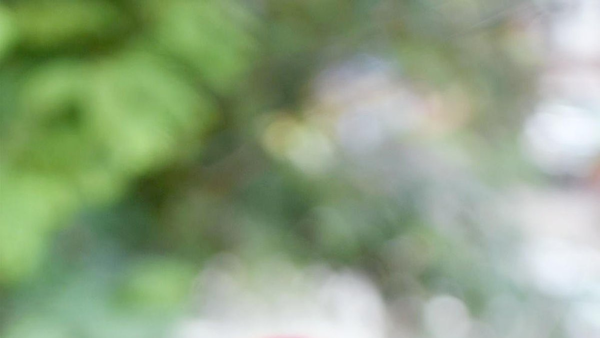 Tenim l'obligació de crear bons i bonics records, dels que queden gravats a foc a la memòria autobiogràfica