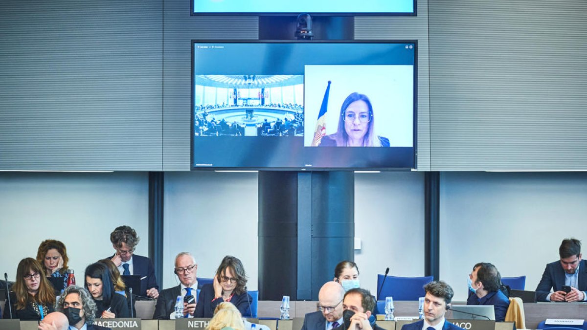 La ministra a la conferència del Consell d'Europa.