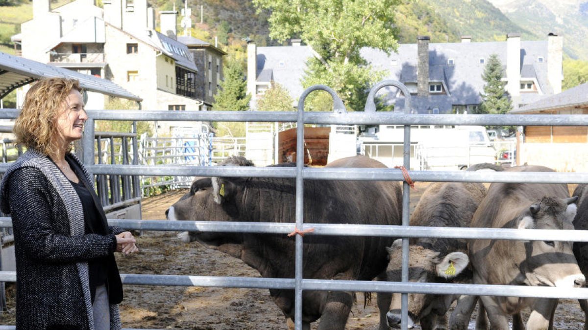 La ministra Sílvia Calvó en una explotació ramadera.