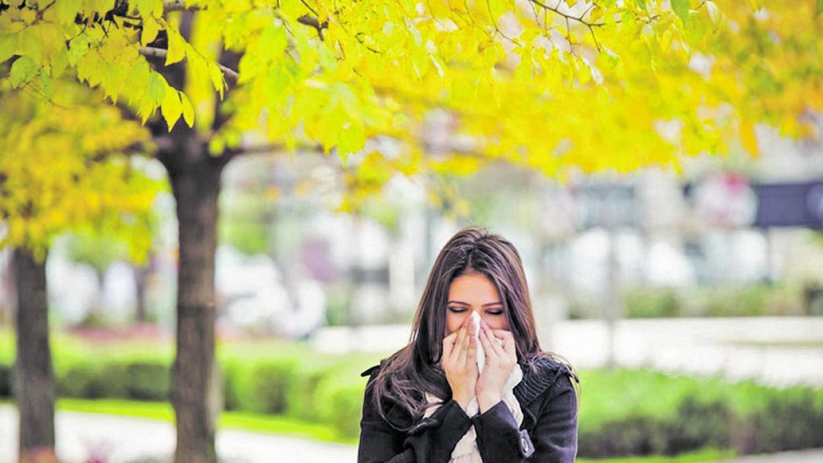 Aquest any la pol·linosi està sent molt més intensa