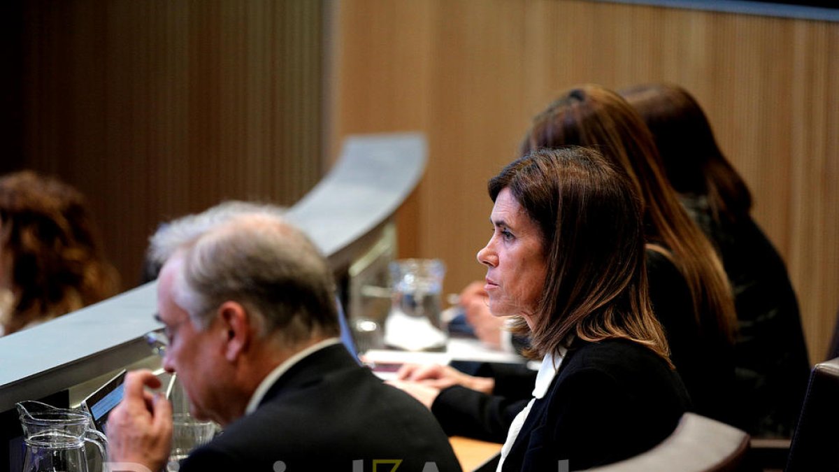 La ministra Vilarrubla al consell general aquesta tarda