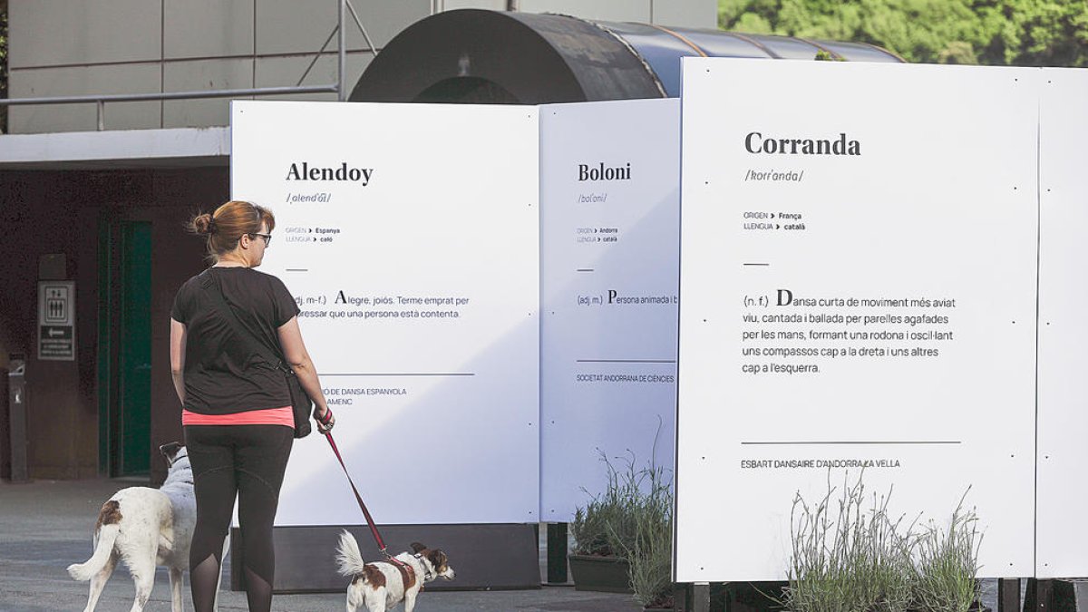 Una dona al carrer passejant dos gossos.