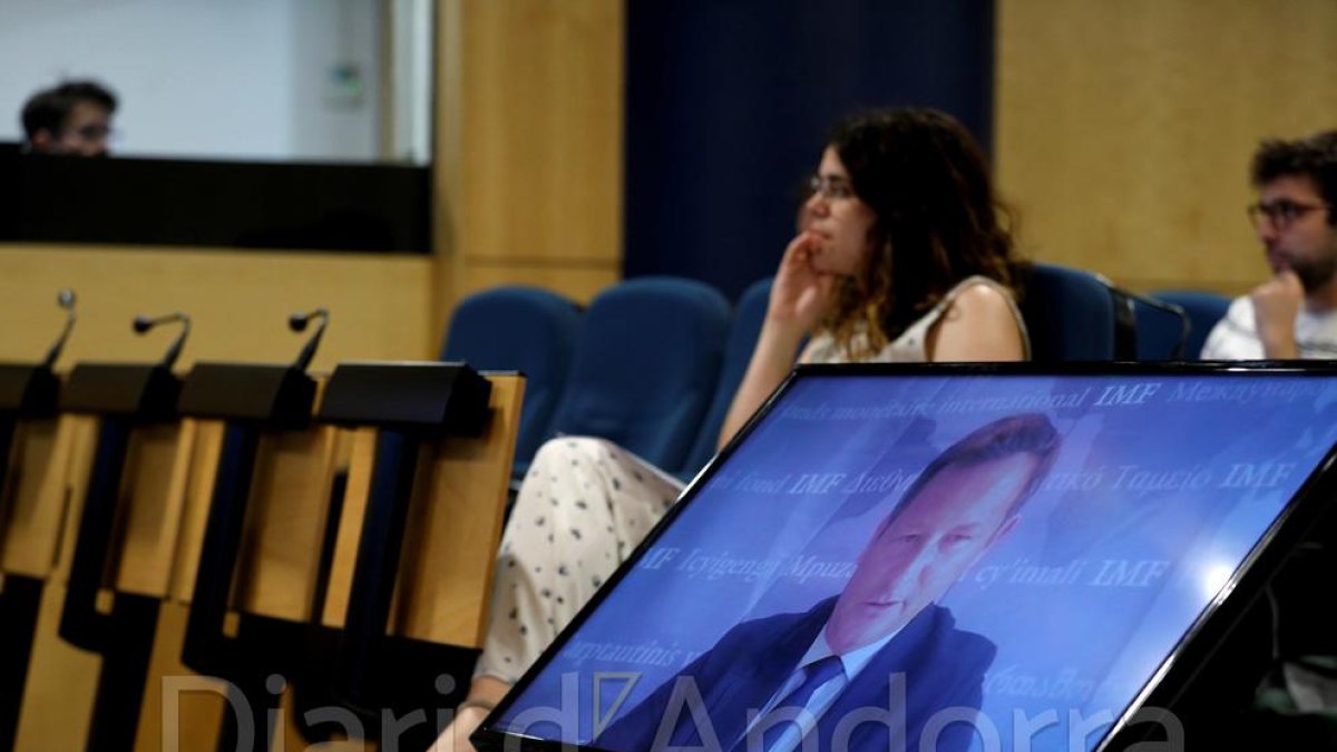 Rodolphe Blavy, el cap de missió per Andorra de l'FMI.