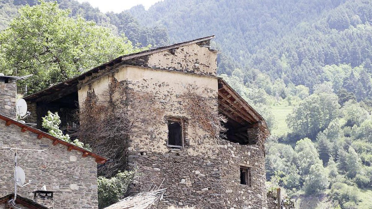 El colomer de Cotxa.