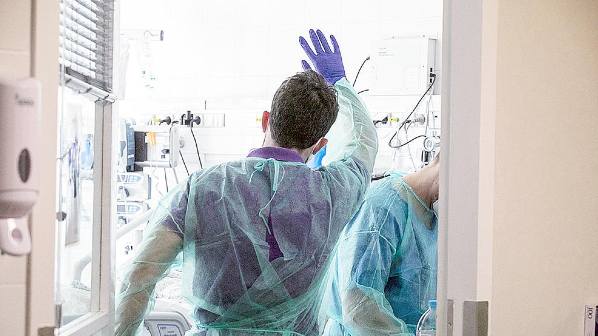 El programa d'atenció psicològica porta un any en funcionament .