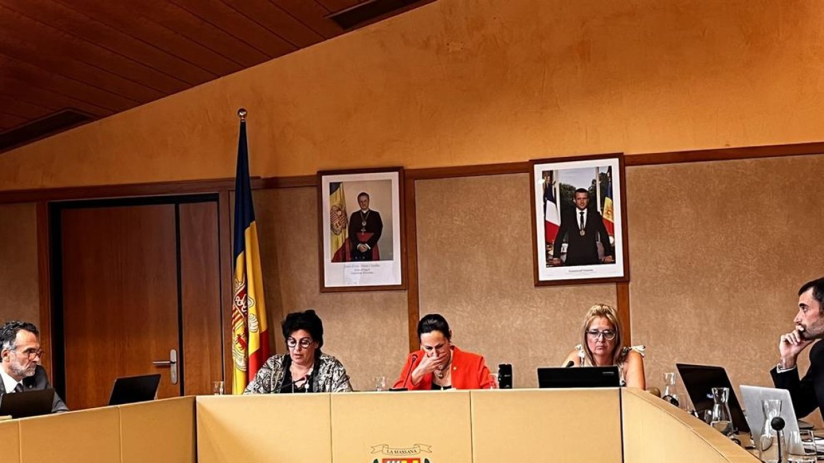 Consell de comú de la Massana d'avui