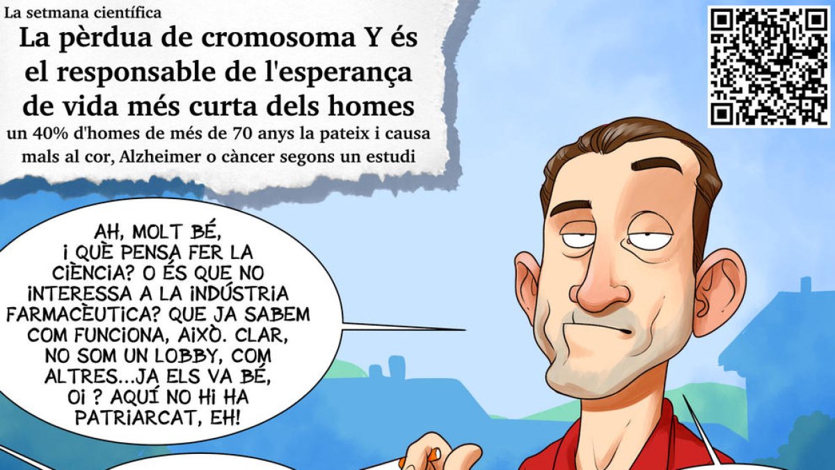 Planellades