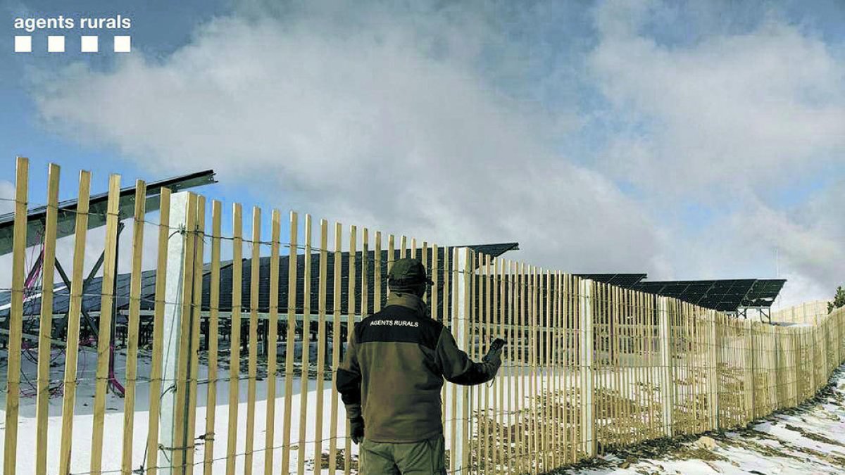 Un agent rural de Catalunya a la frontera.