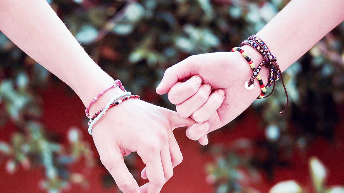 Tot queda reduït al sexe? Què passa amb l'amor? I amb l'afecte? No podem tolerar la vexació