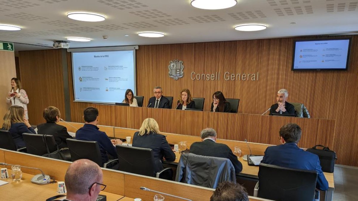 La ministra Sílvia Calvó avui al consell general