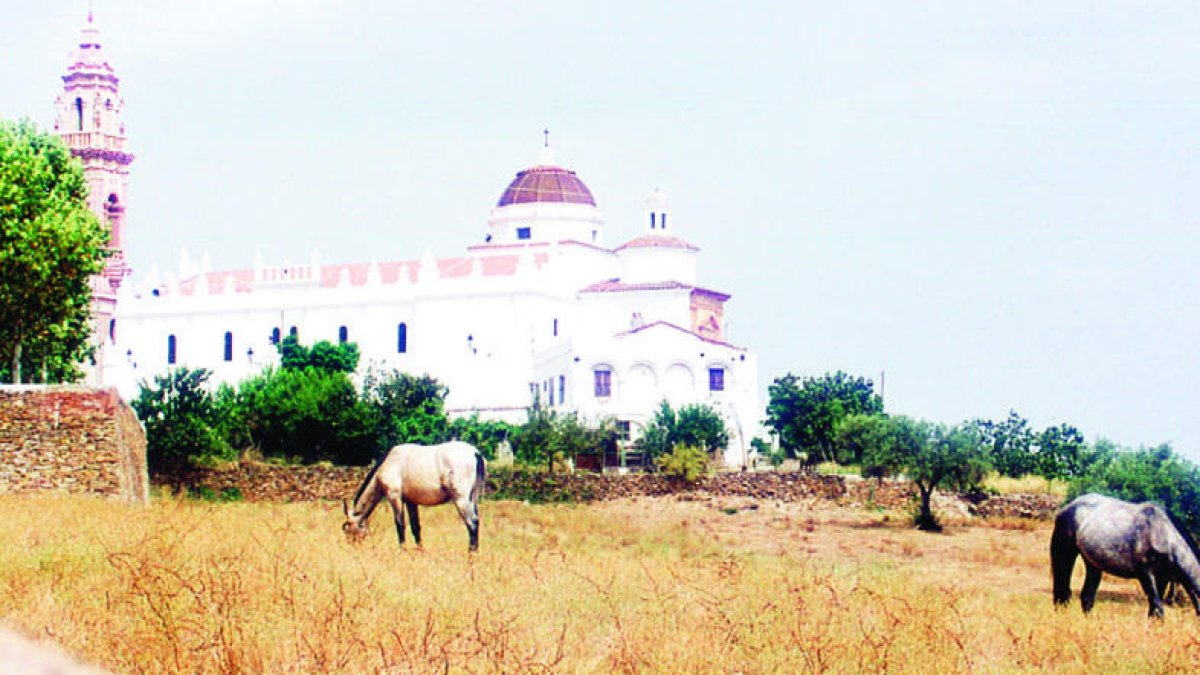 Retorn als orígens