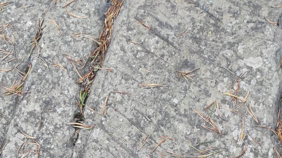 La incisió és visible als centre dels gravats del Roc de les Bruixes