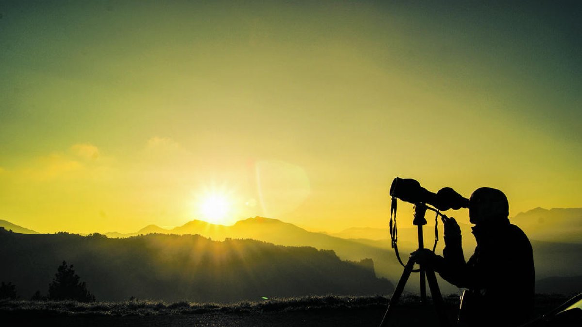 La població d'isards registra una tendència a l'alça els últims anys.