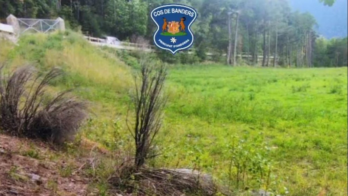 Els banders han denunciat la caça de l'animal