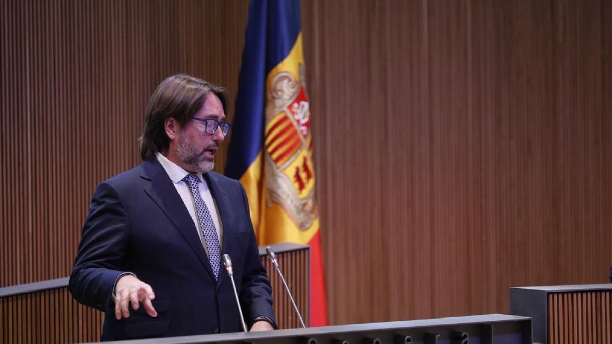 Carles Naudi en la intervenció aquesta tarda al Consell General