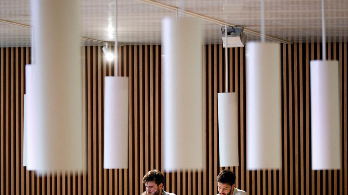 Cerni Cairat i Cerni Escalé, ahir, al Consell General.