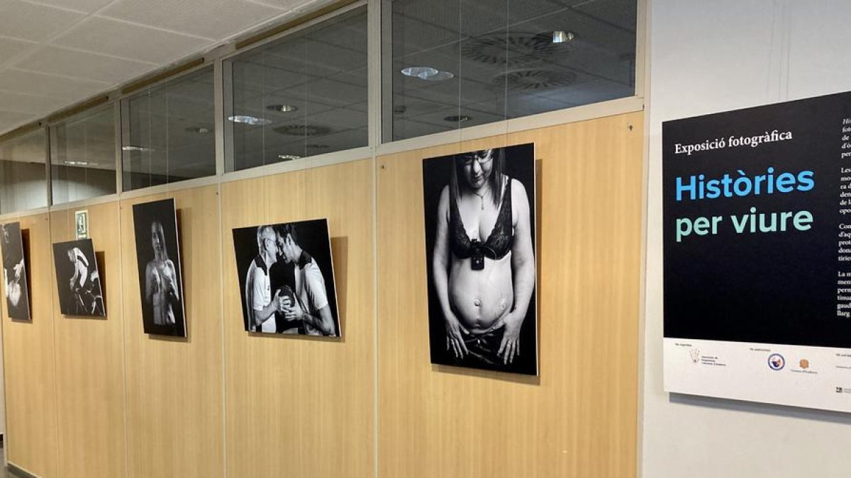 La mostra es podrà veure del 2 al 25 de novembre