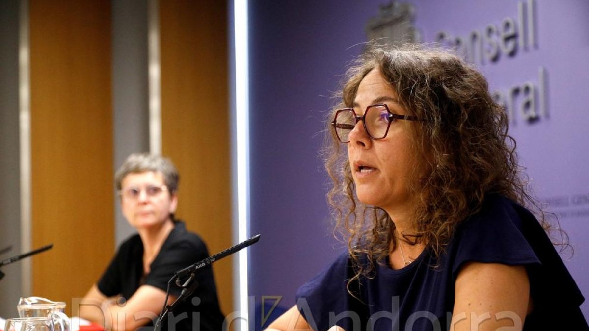 Roda de premsa del PS de presentació del recurs al Tribunal Constitucional