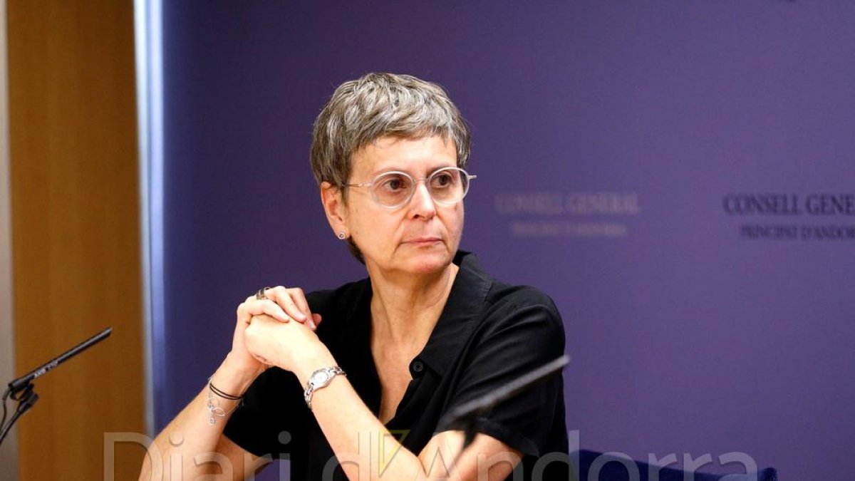 La consellera general del PS Susanna Vela en roda de premsa