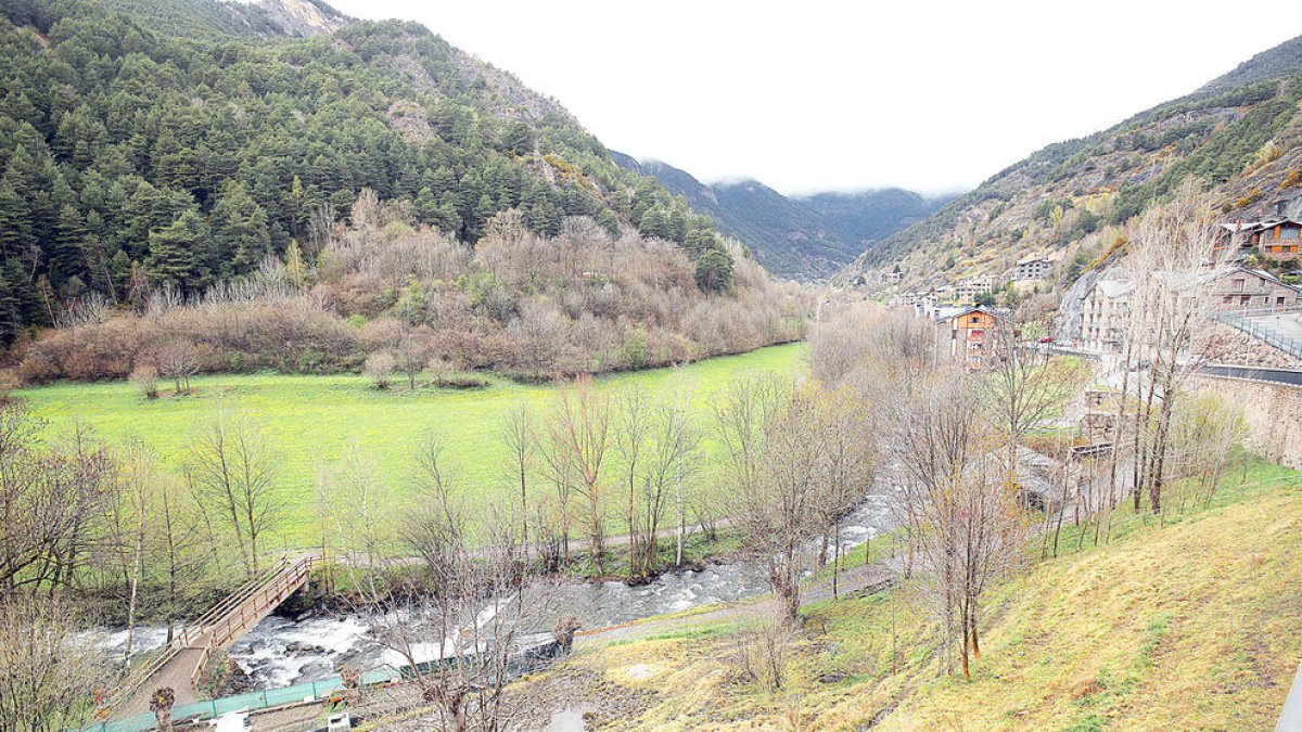 Terreny del Prat de la Farga d'Ordino que havia d'acollir el laboratori de Grifols