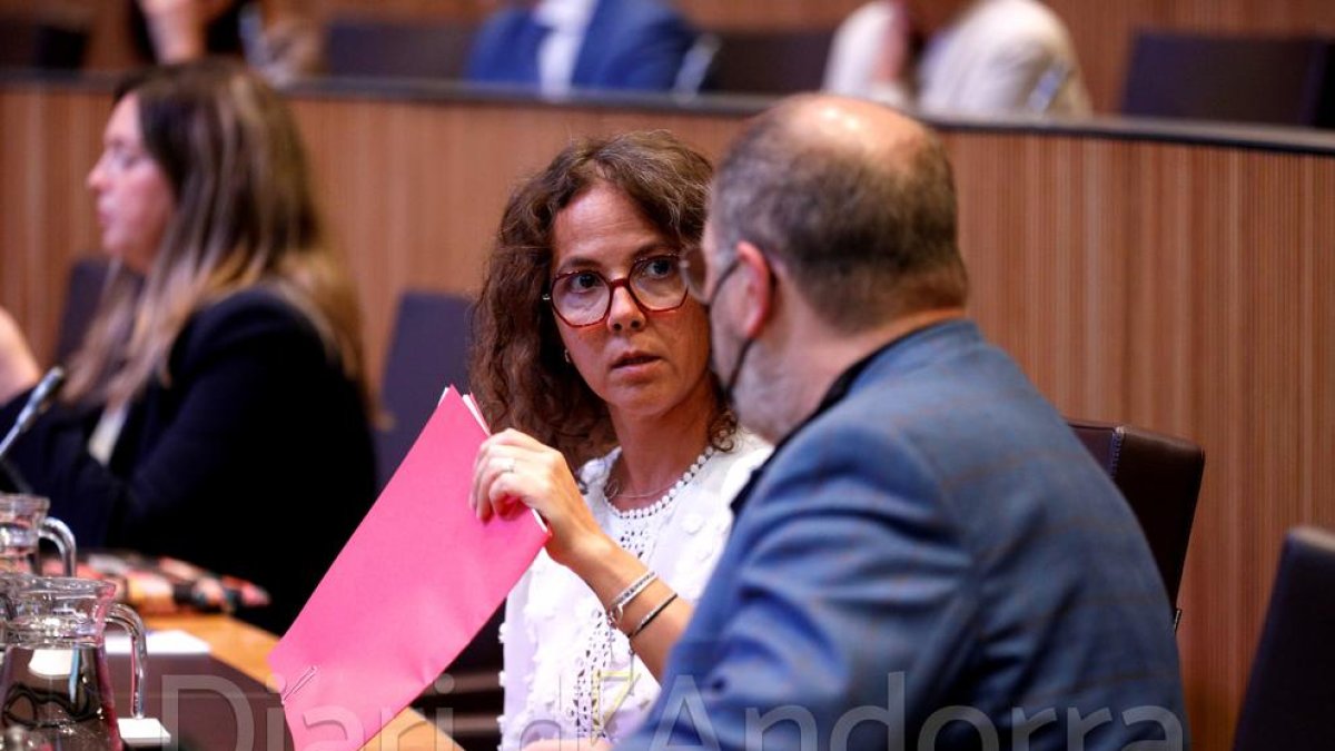 La consellera socialdemòcrata Judith Salazar