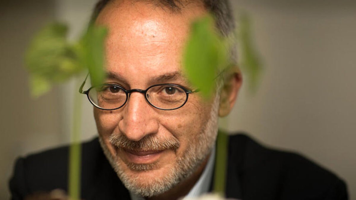 Stefano Mancuso
