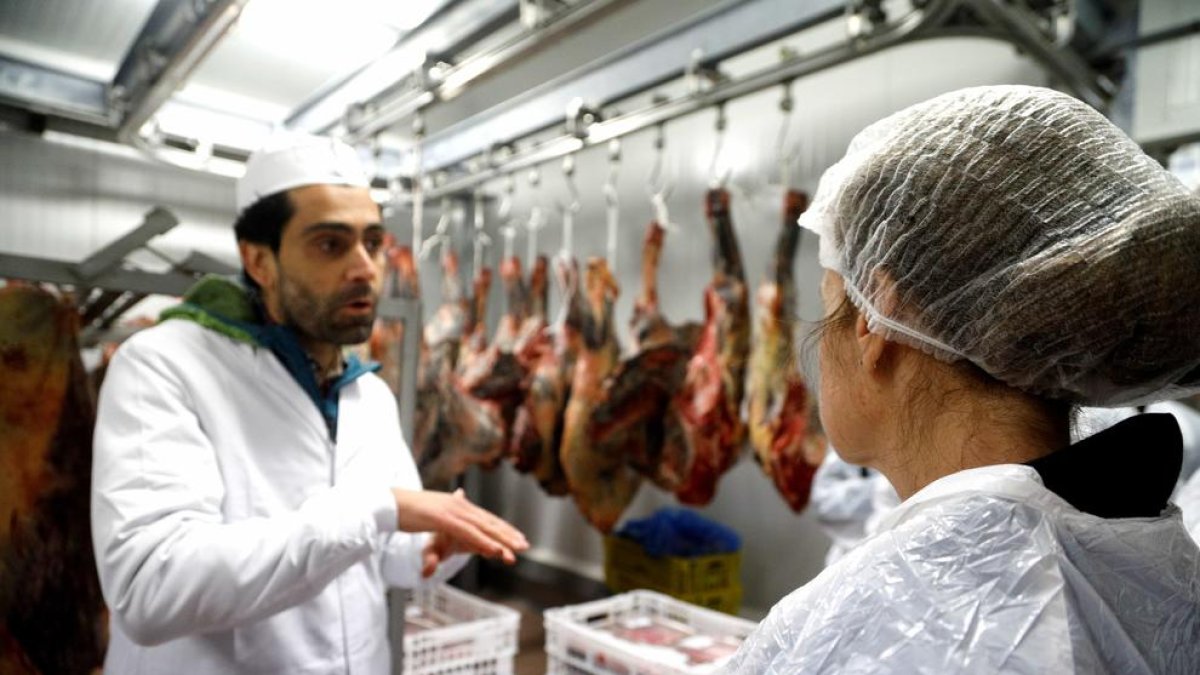 escorxador nacional, carn, carn d'andorra,