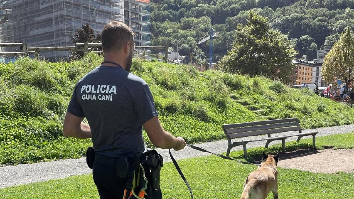 El cos disposa de tres gossos especialitzats en rastre urbà