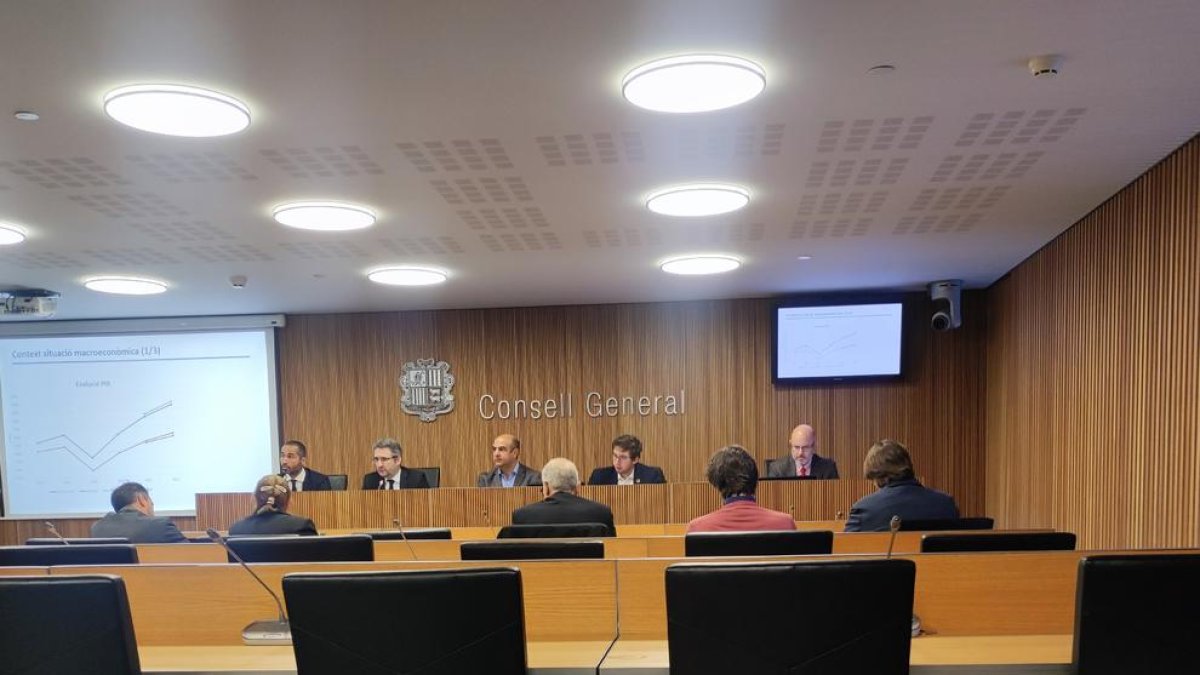 Jover en compareixença avui al Consell General