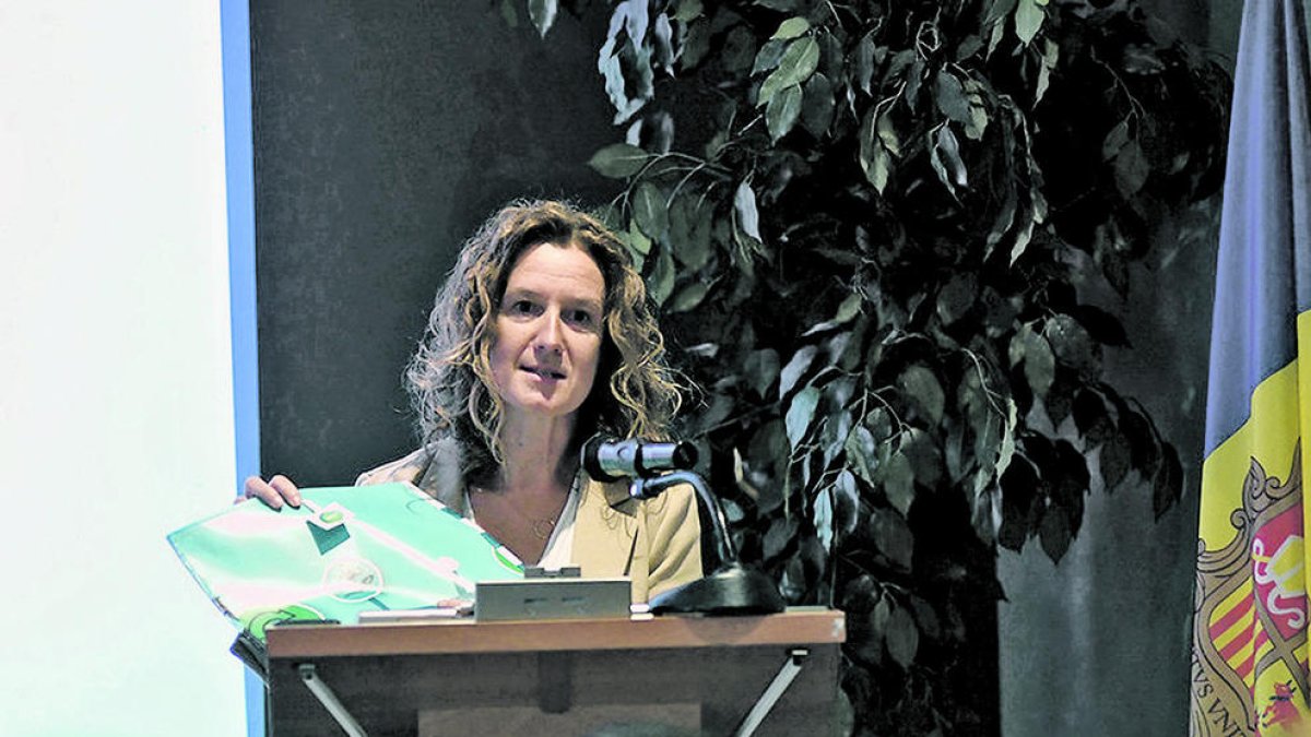 La jornada a l'Acta Arthotel d'Andorra la Vella.