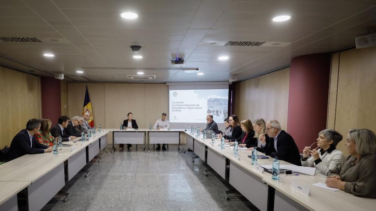 Sílvia Calvó ha presidit la primera reunió de la Comissió d'agricultura i ramaderia