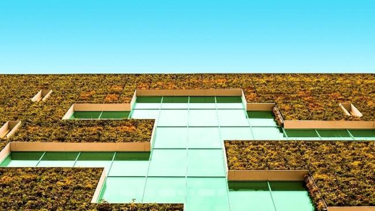 Façana vegetal (foto de Daniel van den Berg per a Unsplash).