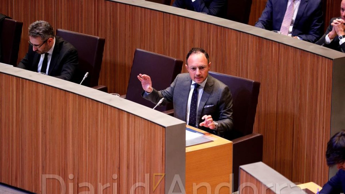 Xavier Espot en la sessió d'avui al Consell General