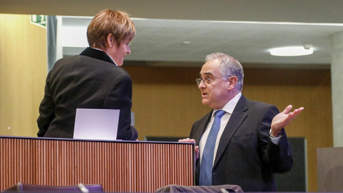 Font durant la sessió de Consell General de dijous passat.