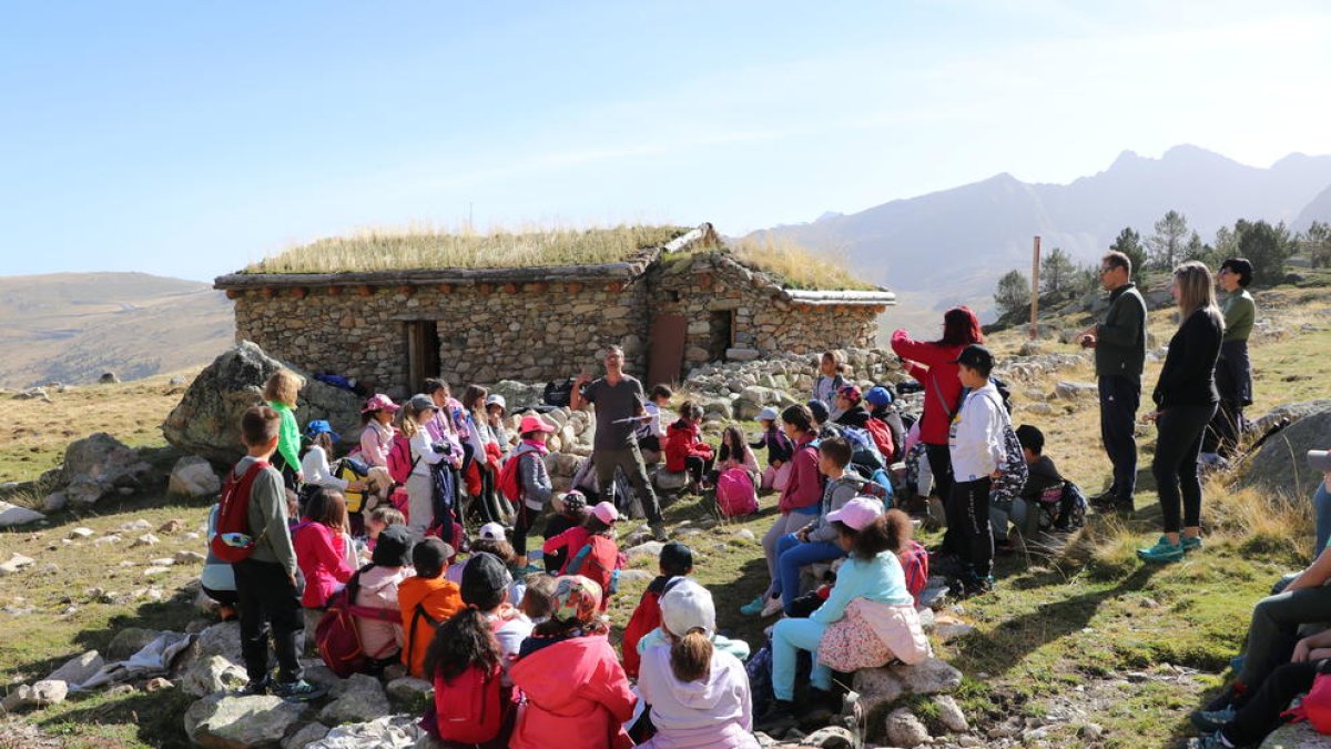 Una seixantena d'escolars visiten l'orri d'Encenrera