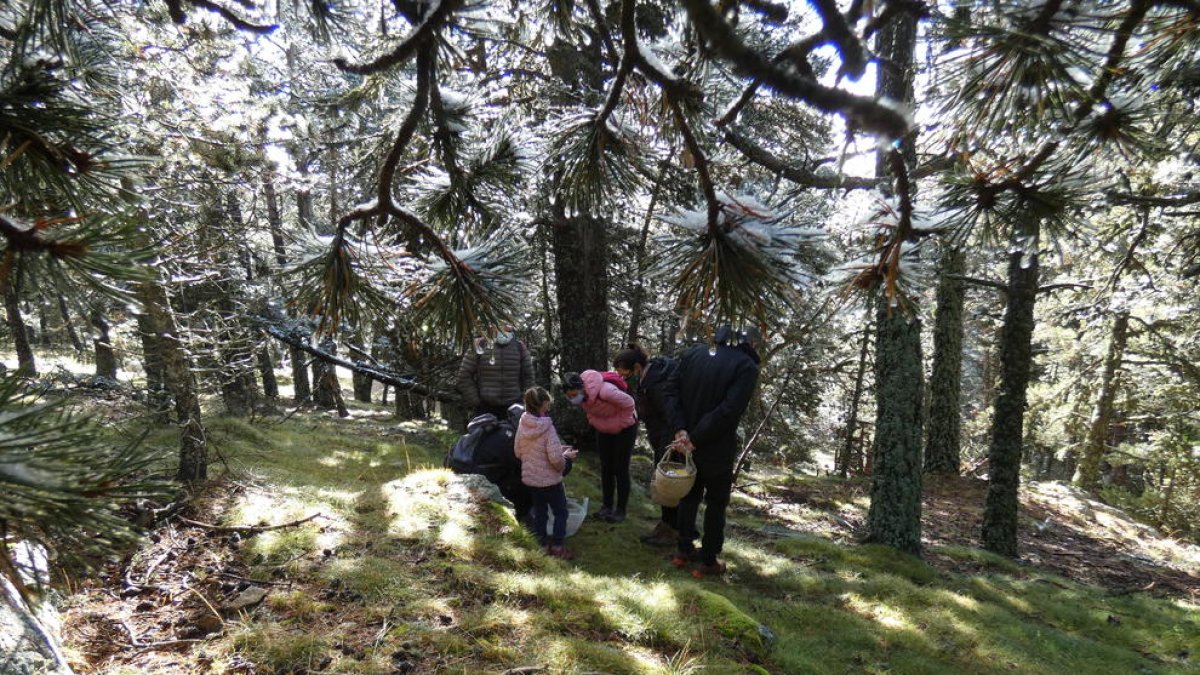 La tercera edició se celebrarà el dissabte 15 d'octubre