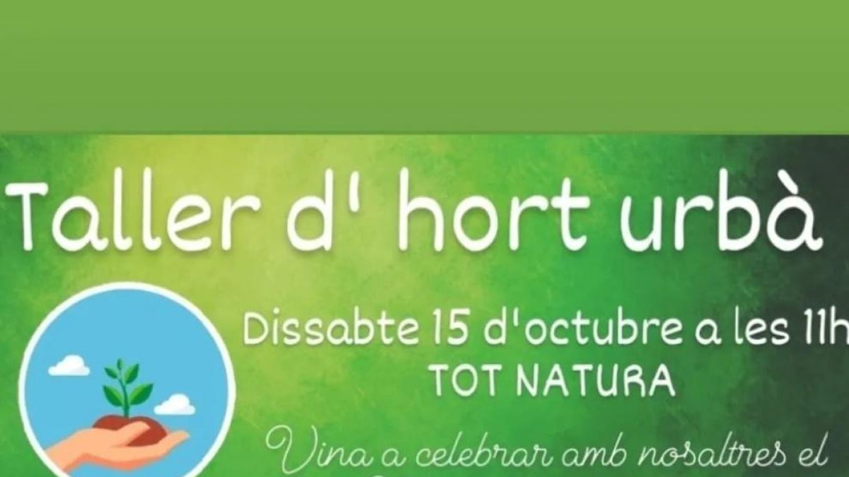 Cartell de l'activitat