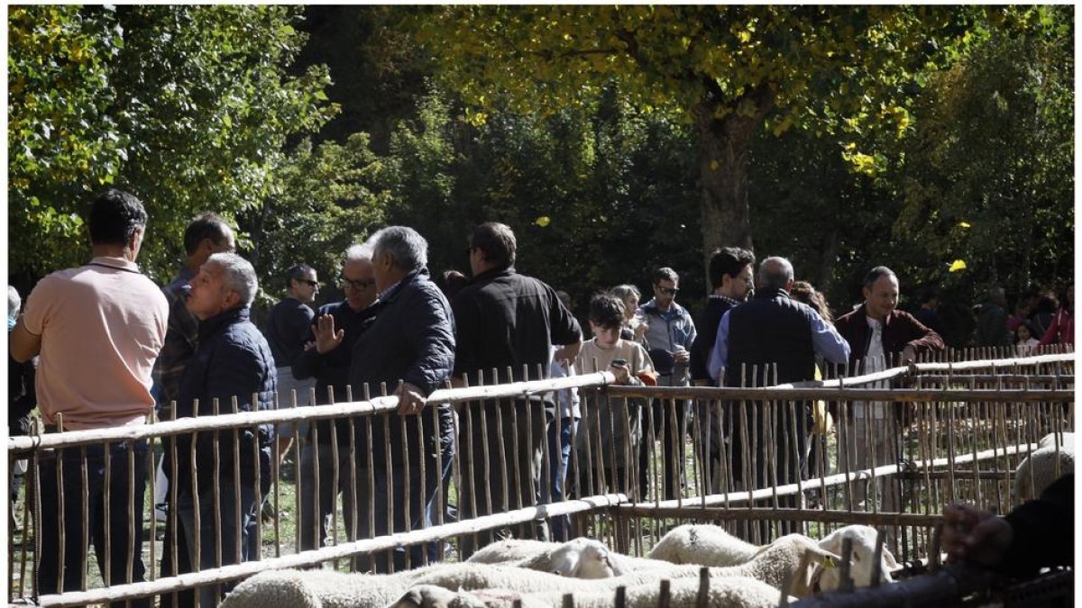 Les autoritats a la Fira del Bestiar i Artesania