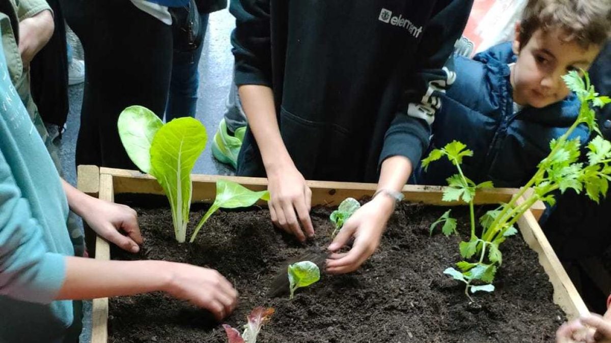 Taller d'hort urbà al Tot natura