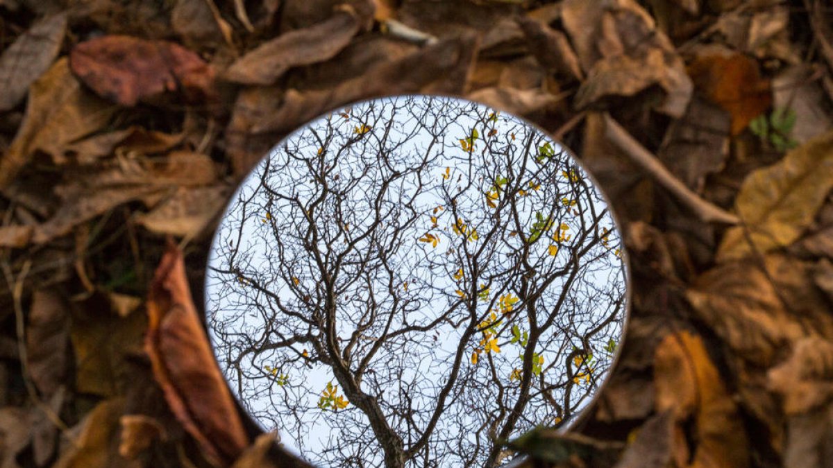 La fotografia 