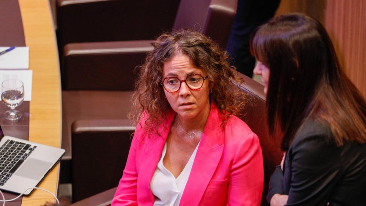 La consellera del PS Judith Salazar en una sessió anterior del Consell