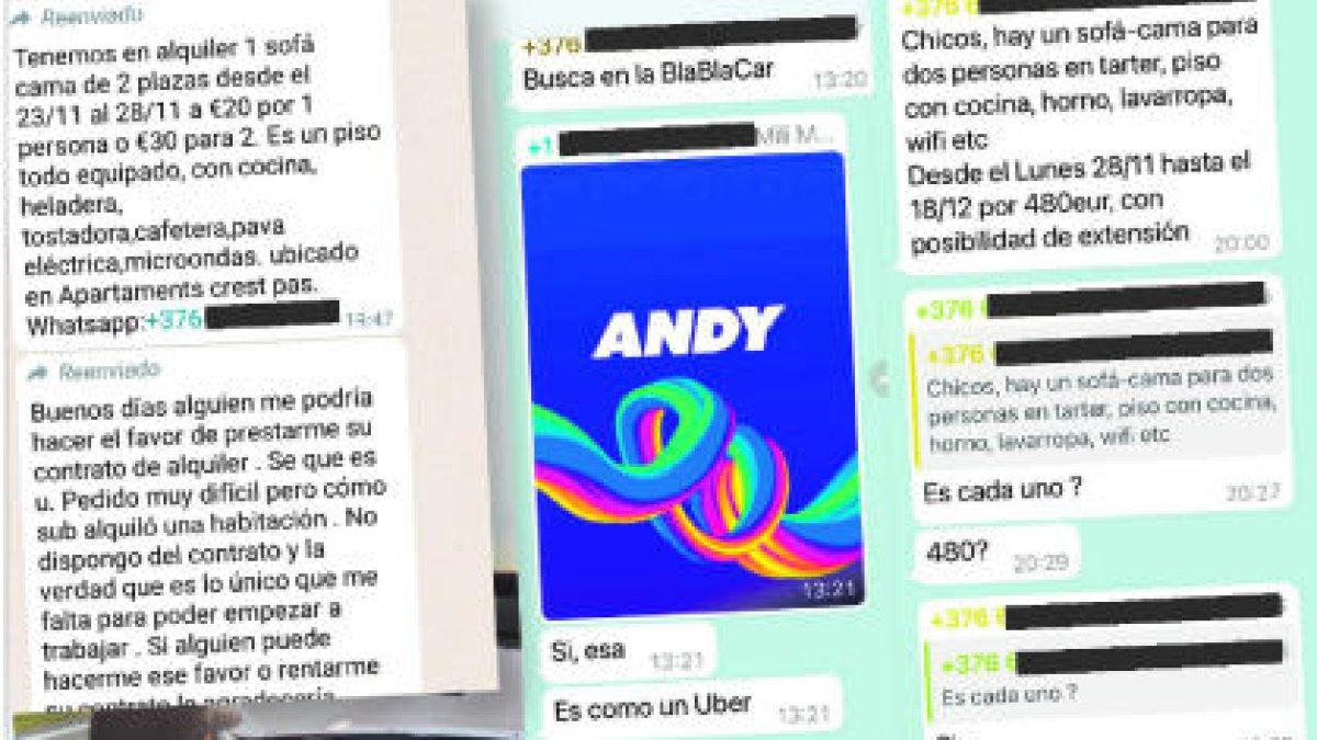 Algunes de les ofertes que es troben en grups de WhatsApp i Telegram.