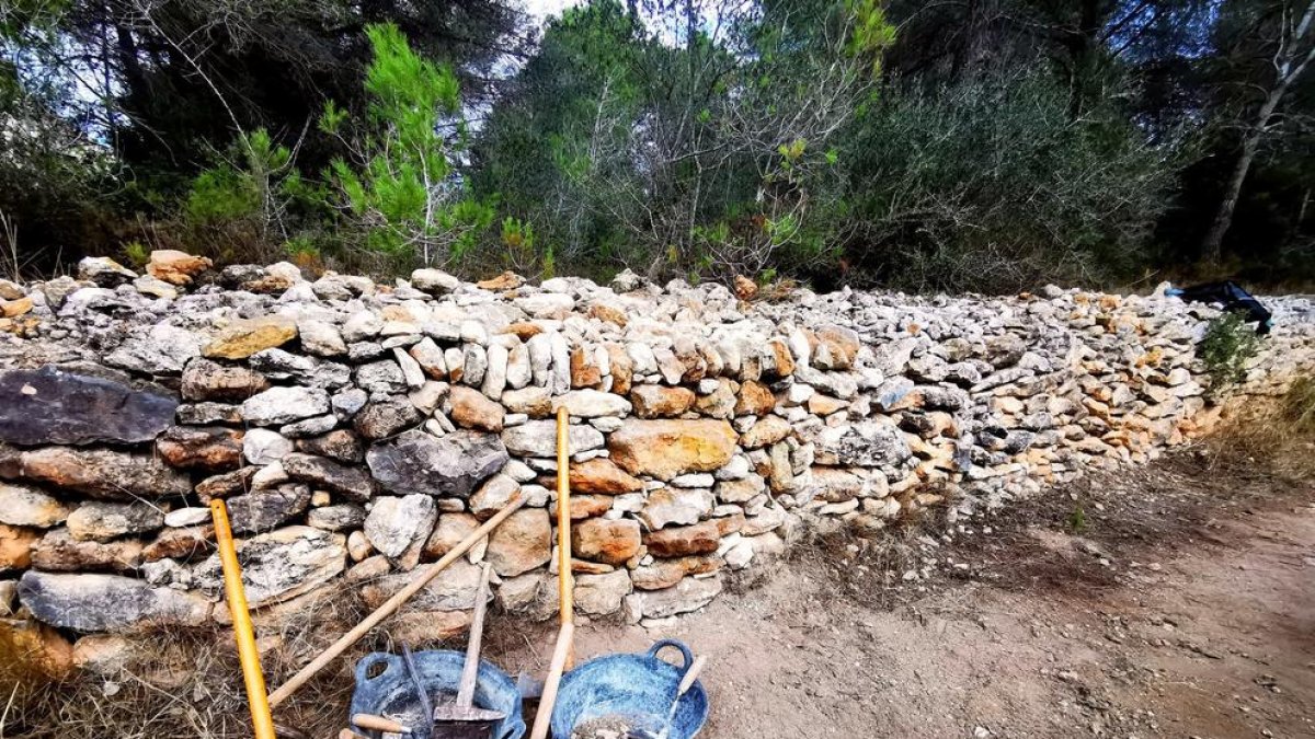 Celebració de la Setmana de la pedra seca