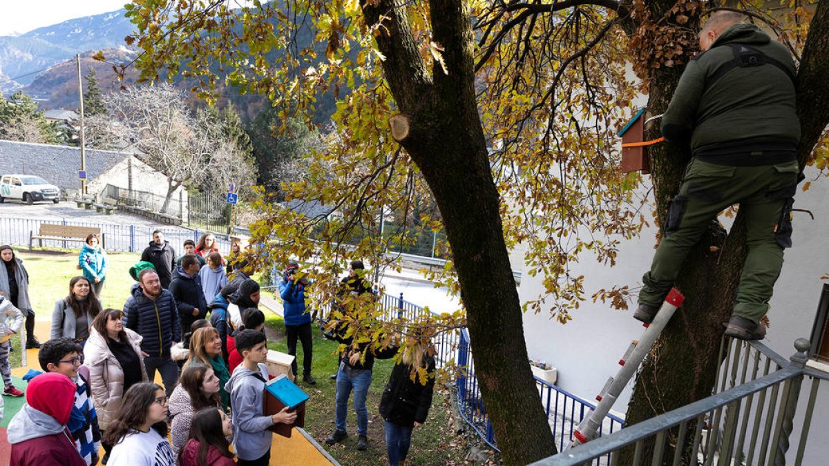 Col·locació de la primera caixa niu, ahir a Santa Coloma.
