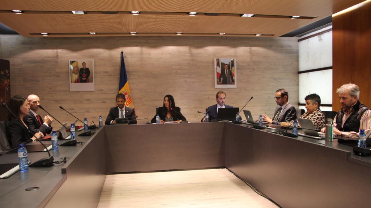 La cònsol menor, Eva Choy, ha presidit la sessió de comú d'Ordino d'avui